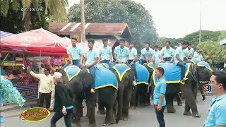 สวนนงนุชพัทยาจัดงานวันแม่แห่งชาติ นำช้างแสนรู้ถวายพระพร พระราชินีในร.9