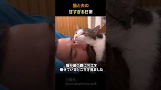 猫と夫の甘すぎる日常