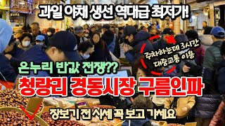 난리난 청량리 경동시장 아침부터 미어터진다! 수도권 사람들 명절에 꼭 들리는 경동시장 청량리종합시장 반값 구매하기 서두르세요! 경동시장 청량리종합시장 남대문시장