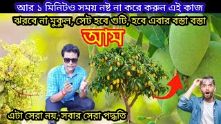 ঝরবে না মুকুল, সেট হবে গুটি, হবে এবার বস্তা বস্তা আম Mango Tree care tips #mangotree #gardening