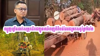 ឈ្មួញច្រើននាក់សម្រុកដឹកជញ្ជូនឈើចេញពីតំបន់ដែនជម្រកសត្វព្រៃបឹងពែរទាំងយប់ទាំងថ្ងៃ