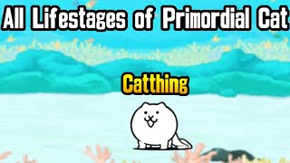 The Battle Cats - Lifestages of Primordial Cat