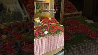 Strawberry village in Italy🍓🇮🇹#italy #strawberry #shortsfeed