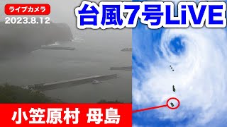 【台風7号LIVE】小笠原村・母島ライブカメラ　雨風の様子／小笠原村 YouTubeより 2023年8月12日(土)