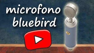 REVIEW MICROFONO  BLUEBIRD (2020) ESPAÑOL