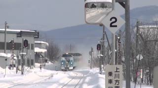 キハ１８３系「旭山動物園号」　団体臨時列車が東旭川駅を通過