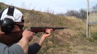 Springfield 87a 22. Full clip.