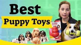Best Puppy Toys to Keep Them Busy