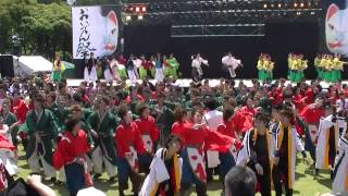 よさこいinおいでん祭2014　オープニング総踊り「おいでん豊川」