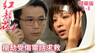 慧貞遇人搶劫竟向庭風求救　嘉嘉出言頂撞慧貞遭教訓【紅顏花 精華版】EP1-3 楊貴媚 李天柱 林煒 林熙蕾 王耀慶 何雨雯 @FlowerTVseries