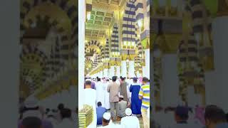 Spotlight scene of Tahjjud in Masjid An Nabawi