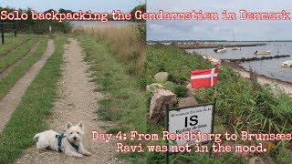 Solo backpacking the Gendarmstien in Denmark.Day 4: From Rendbjerg to Brunsæs.