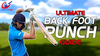 LEARN how to play the BACK FOOT PUNCH | Batting drill session