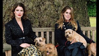 Princess Eugenie and Beatrice reveal what sisters rowed about in BIGGEST fight - Daily News
