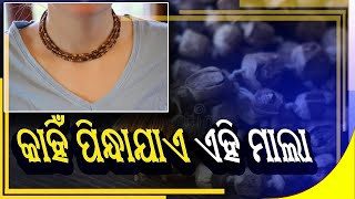 Why we wear tulsi mala || ଜାଣନ୍ତୁ କାହିଁକି ପିନ୍ଧାଯାଏ ତୁଳସୀ ମାଳା || #ansodia