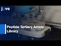 Split-And-Pool Synthesis & Characterization Of Peptide Tertiary Amide Library l Protocol Preview