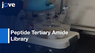 Split-And-Pool Synthesis \u0026 Characterization Of Peptide Tertiary Amide Library l Protocol Preview