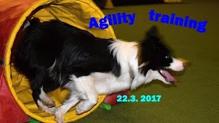 Agility training + RC | 22.3. 2017 | Cairo