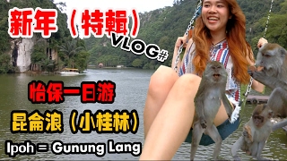 新年(特輯）大年初五怡保一日游（gunung lang 昆侖浪----小桂林）+野外猴子 #Vlog# (YURI頻道）