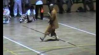 Xing Yi Quan Demonstration