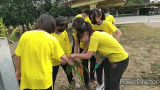 臺南市官田區渡拔國民小學111學年度第63屆國小畢業影片