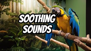 Escape to the Jungle: Soothing Sounds for Ultimate Relaxation