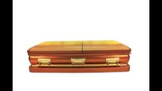 Monarch Bronze Casket
