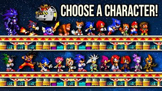 Sonic game with over 30 playable characters, Online Multiplayer, & Level Up System!