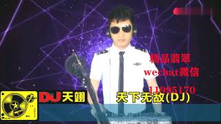 一首DJ《天下无敌》混音版，好听极了！