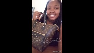 Louis Vuitton Tournelle Review | 6 Month Update!