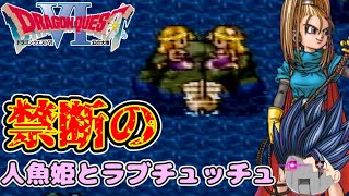 【ドラゴンクエスト6】～ふざけた奴らのストーリー進行幻の大地～＃16