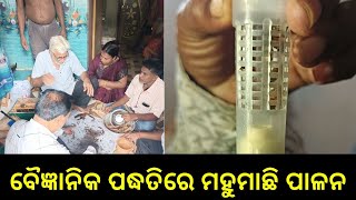 Scientific methods of Honey farming: ବୈଜ୍ଞାନିକ ପଦ୍ଧତିରେ ମହୁମାଛି ପାଳନ ସ୍ୱତନ୍ତ୍ର ପ୍ରଶିକ୍ଷଣ