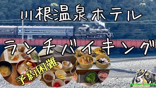 大井川鐵道 川根温泉ホテル ランチバイキング  SL見ながら温泉入って💕 有名店に行ってみたシリーズ