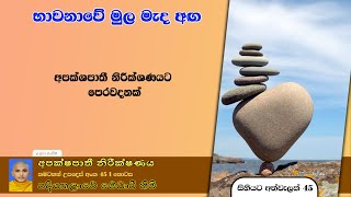 සිහියට අත්වැලක් 45. භාවනාවේ මුල මැද අග. පදියතලාවේ මේධාවි හිමි. Ven. Medhaavi Thero