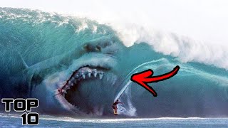 Top 10 Megalodon Sightings That Scientists Can't Explain