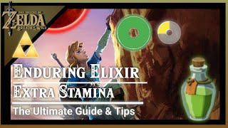 Enduring Elixir (Extra Stamina Wheel) Best Elixir Ingredients - Zelda: Breath of