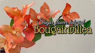 Sugar Flower Bougainvillea Tutorial | Gumpaste Tutorial