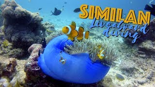 Similan islands liveaboard diving with Khao Lak Scuba Adventures | EP69