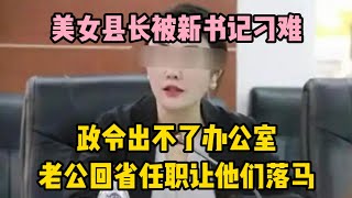 美女縣長被新書記刁難，政令出不了辦公室，老公回省任職讓他們落馬 | wayne調查 | 情感 | 情感故事 | 家庭倫理 |婚姻 #大案紀實 #刑事案件 #案件解說