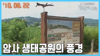 암사 생태공원의 풍경┃ TBS 한강의 기록 2010-08-22