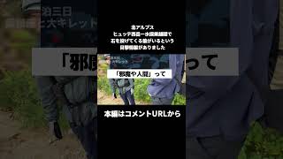 【恐怖】石を投げてくる猿あらわる#shorts