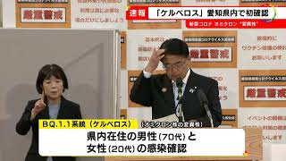 1人は市中感染か…変異株BQ.1.1系統「ケルベロス」愛知で初確認 11月上旬に感染判明の男女2人 (2022/11/14 17:16)