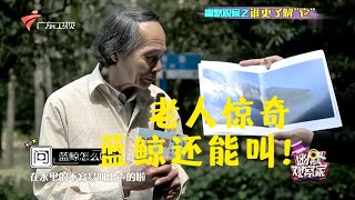 原来企鹅的叫声这么猥琐,大爷大妈听完直接绑不住争相模仿起来!【幽默观察家】