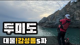 두미도 감성돔 대물 5짜!여러분 제대로 사고치고 왔습니다[김과장TV]