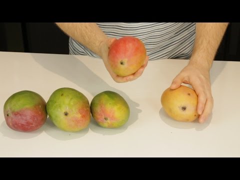 How to Tell If a Mango is Ripe How to Tell If a Mango is Ripe