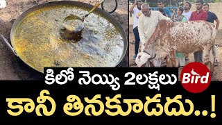 కిలో నెయ్యి 2లక్షలు కానీ తినకూడదు..! | 2 Lakhs Per Kilo Of Ghee..! But Don't Eat It | Bird Media