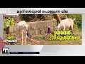 ഒരുകിലോ ആട്ടിറച്ചിക്ക് വില 1000 കുതിച്ചുയര്‍ന്ന് മാംസവില mutton price kerala