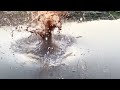 amazing slow motion momentsoil falling into water slowmotions slomo