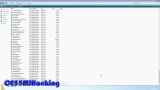 How to get RSBOT Scripts