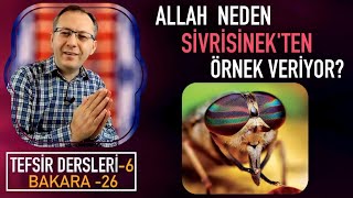 ALLAH NEDEN SİVRİSİNEK'TEN ÖRNEK VERİYOR? #kuran #sivrisinek #tefsir